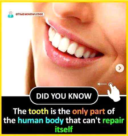 Did you know?⭐