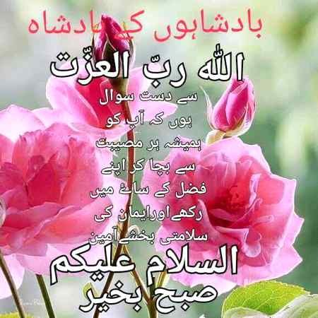 Hlo friends