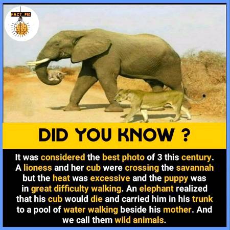 DID YOU KNOW??