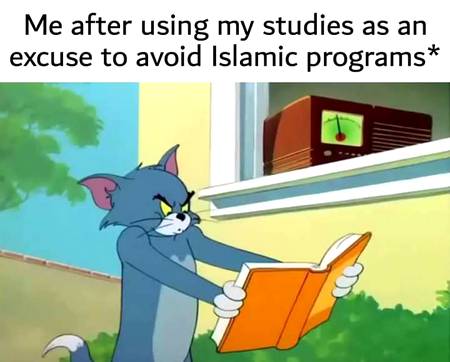 Ends up not even studying properly