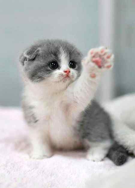 💞💞 Hello!! 💞💞