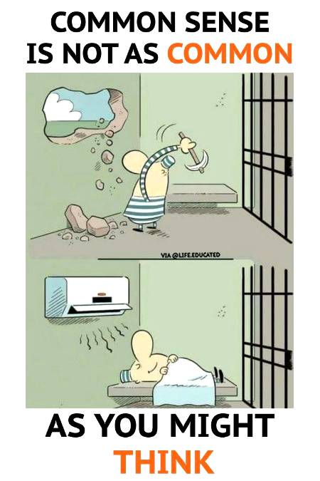 Common Sense...