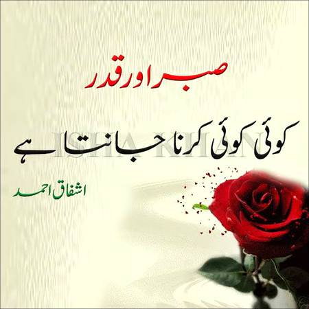 صبر اور قدر کرنا کوئی کوئی جانتا ہے
