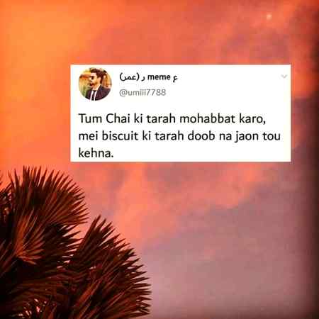 SyEd...🙈