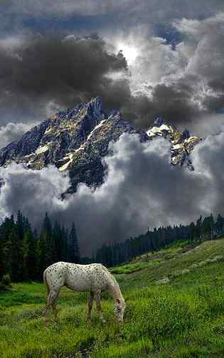 Mountain photography...