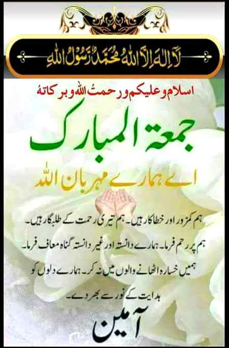 Aslaam o aleekum
