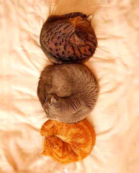 Sardiyo mi sab esa krty hi👇