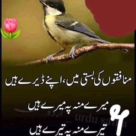 Right asah hi h🤘