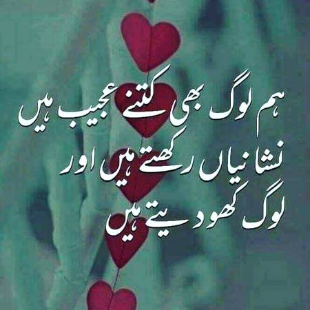 Ajeeb log hein