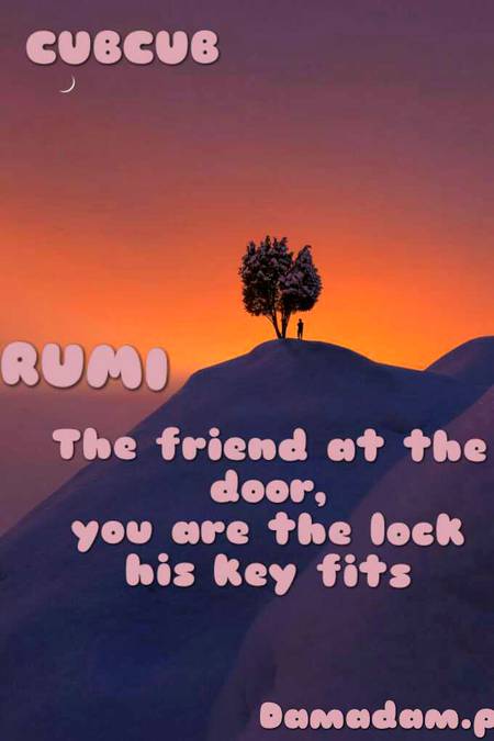 RUMI'S WORDS