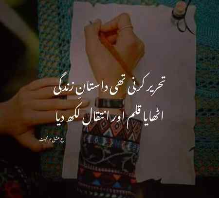 Na hon gay ham na ho ga drd 😑😑