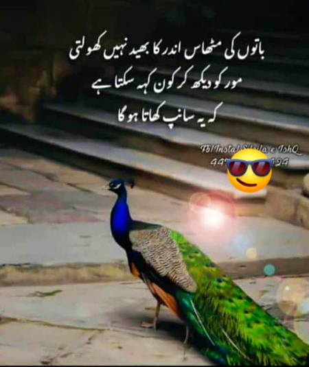 🌹🌹🌹صلی اللہ علی حبیبہ محمد نور من نوراللہ وعلی آلہ واہل بیتہ وعترتہ وازواجہ وصحبہ وجدہ وذریتہ و کل امتہ وبارک وسلم کثیراً کثیرا و دائماً ابدا 🌹🌹🌹