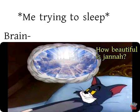 Halal Thoughts 🙂