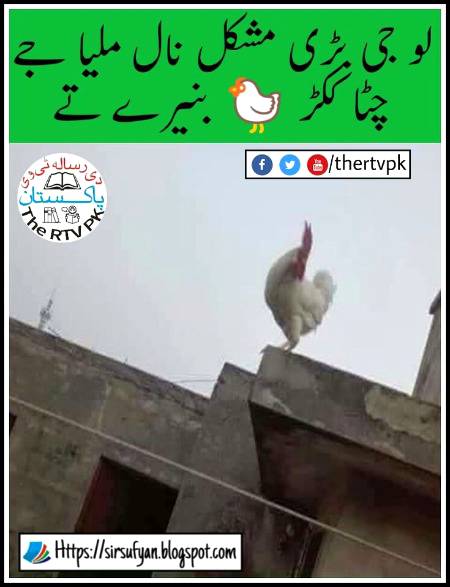 Lo ji labh geya jy chitta kukarr