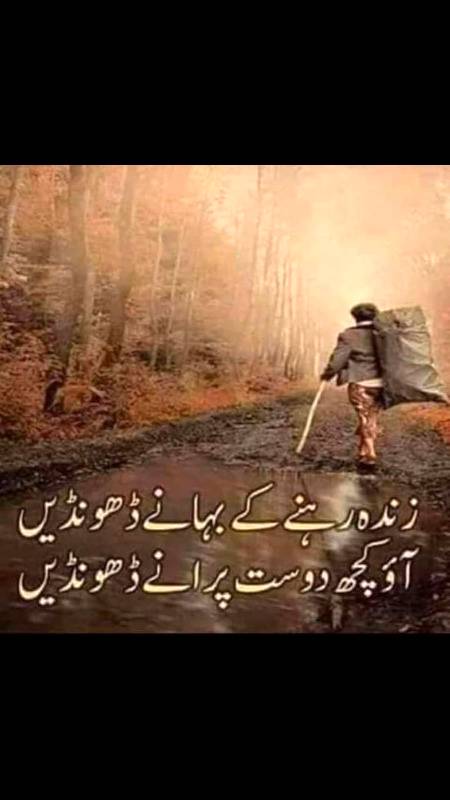 ہر موڑ پہ مل جاتے ہیں ہمدرد ہزاروں...!!!❤ 
محسن تری بستی میں اداکار بہت ہیں..!!🔥🔥