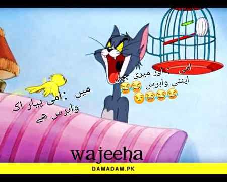 💘💘 wajeeha 💘💘