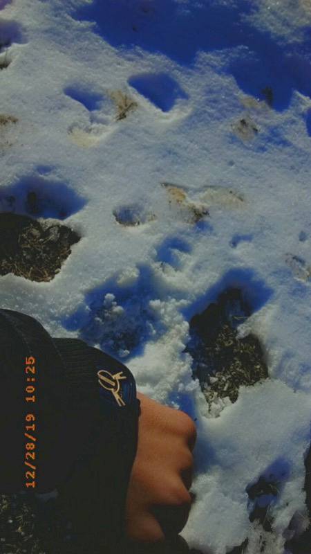 SnOw...❄️