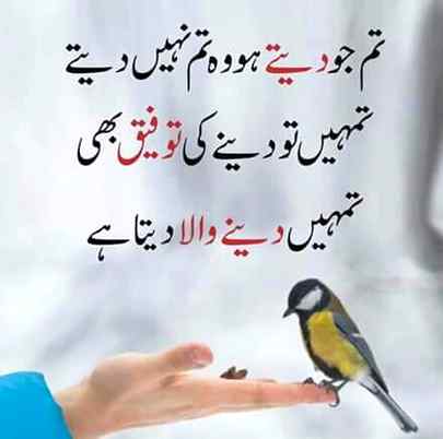 Sending by fareed ahmed shaikh