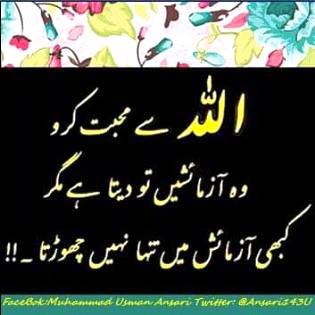اللہ سے محبت کرو.