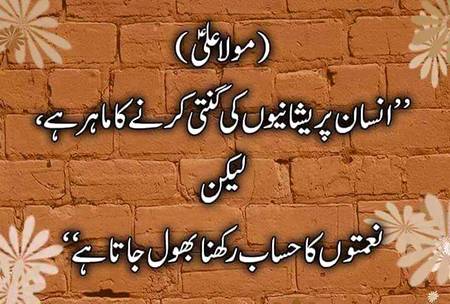 Beshak ❤❤❤❤