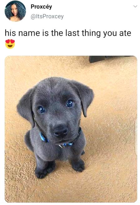 What did you eat last Time?