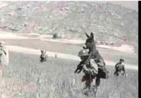 تصویر میں فوجی جوان گرھے کو کندھے پہ بٹھا کہ لے جا رہا ہے اس کی وجہ یہ نہیں ہے کہ اسے اس گدھے سے پیار ہے۔ بلکہ اس لۓ کہ اگر اس گدھے کا پاؤں بارودی سنگ پر آگیا تو فوجی بھی مارے جائیں گے۔۔۔۔
ہمیں بھی چاہئے کہ اپنے ارد گرد موجود لوگوں پر نظر رکھیں اور انہیں سمجھاتے رہیں۔۔۔
کیوں کہ اگر ان گدھوں کو کرونا ہو گیا تو بچنا ان لوگوں نے بھی نہیں جو احتیاط کر رہے ہیں۔۔۔۔