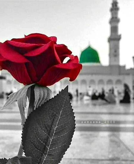 قرآن نے سورج کو "سراج" اور چاند کو "منیر" کہا
جَعَلَ فِیھَا سِراجً و قَمَرً مُنِیرَا
لیکن اکیلے نبی کریم روف رحیم ﷺ کو "سراج منیر" کہا

وَدَاعِیَاً اِلی ﷲِ بِاذنِہ وَسِرَاجً مُنِیرَا
تاکہ کائنات کو معلوم ہو جائے کے شمس و قمر مل کر بھی آپ کے انوار کا مقابلہ نہیں کر سکتے
جن کے پاؤں تلے ، بوسہ جـبرائیـل دے
ان کے تلووں کی حرمت پہ لاکھوں سلام
*صَلَّی اللّٰہُ عَلٰٰی حَبِیْبِہٖ ُمحَمَّدٍ وَّٓاٰ لِہٖ وََسَلَّم*