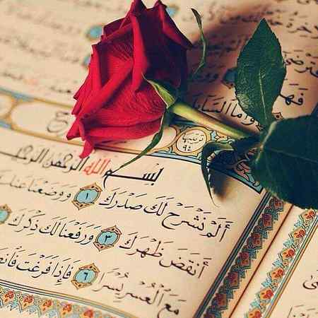 *اللّٰہ کی حکمتوں پر سر جُھکانے والے ، زندگی میں ضد چھوڑ دیا کرتے ہیں...!*
🌹👍🌹👍🌹👍🌹RoSe🌹👍🌹👍🌹👍🌹👍