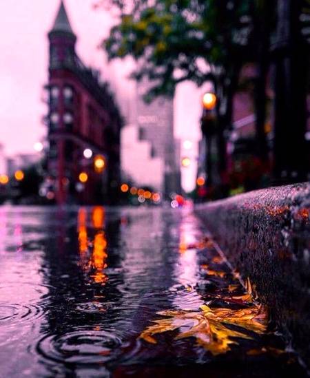 Rain photography 🔥🔥✌👌