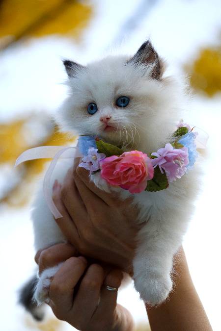 Beautiful❤💞💖💕💛