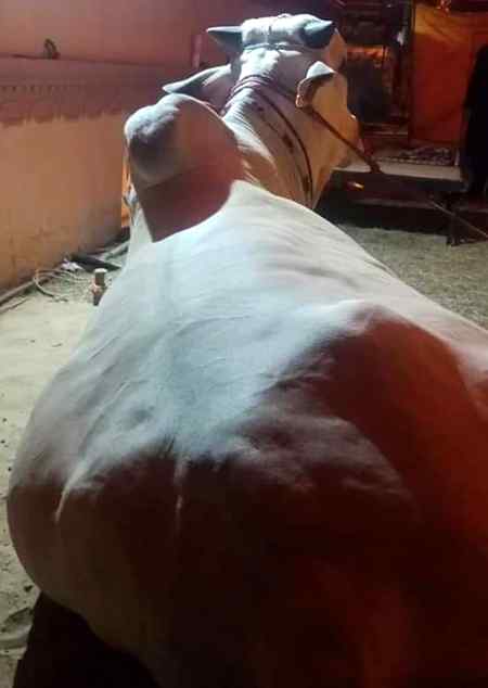 Praise tobe Allah🍁💐🍁