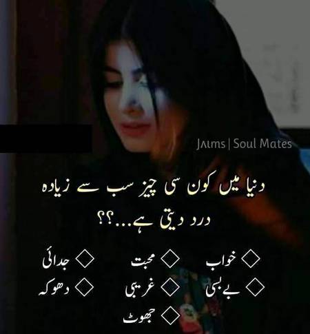 Answer please