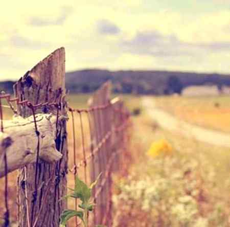 Amazing ❤️ photography