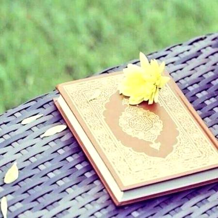 🌸جو قرآن سے جڑ گیا وہ فلاح پا گیا🌸
🌸