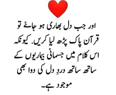 Beshak😍😍
