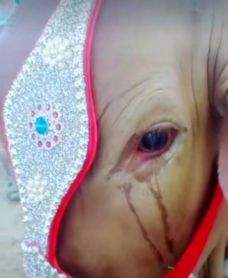 Wafadar to ye ha no hmaray liya apnii qurbanii de rha ha .Warna aj Kal k logon ko he dakh lo😔😔💔💔