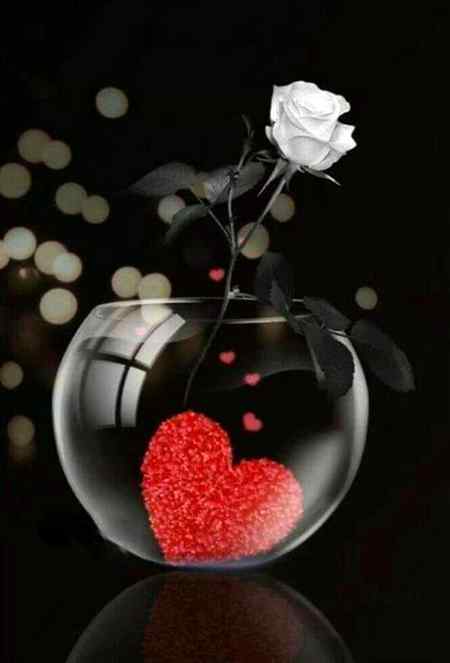 *زندگی میں بڑی سے بڑی بات پر ہار نہ ماننے والے لوگ ... کبھی کبھار بہت چھوٹی سی بات پر ٹوٹ جاتے ہیــــں ..🌹🌹RoSe🌹🌹