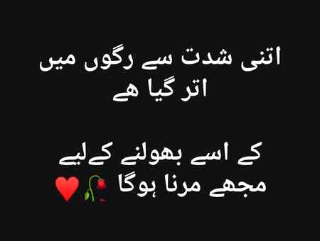 کوئ شکوہ نہیں تم سے اگر ہو بھی تو کیا حاصل۔؟
وہی رسمی سا جملہ , میری مجبوریاں سمجھو!!🥀
🔥🔥🔥