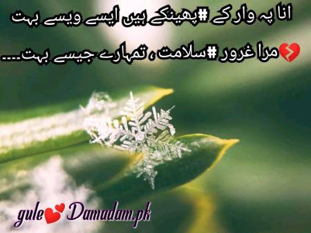 gule💕Damadam Lover🔥