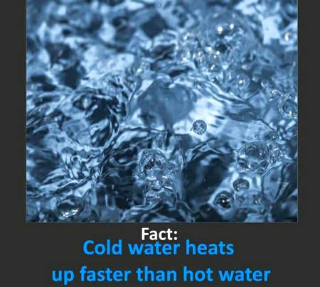 Science Facts!!!