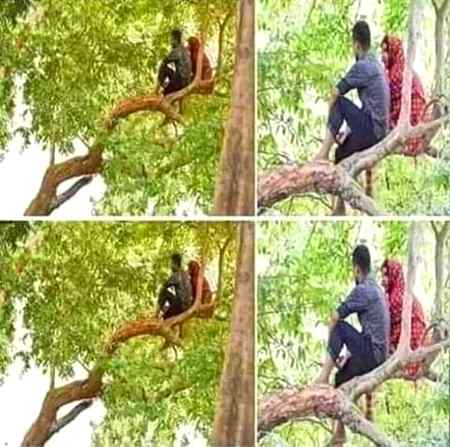 دو پیار کرنے والوں کو جب جب دُنیا تڑپائے گی
محبت درخت پہ چڑھ جائے گی
*~میری حᷟسرتوں کا جنازہ~*