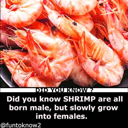Did u know