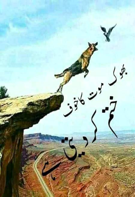 ...BESHAK...