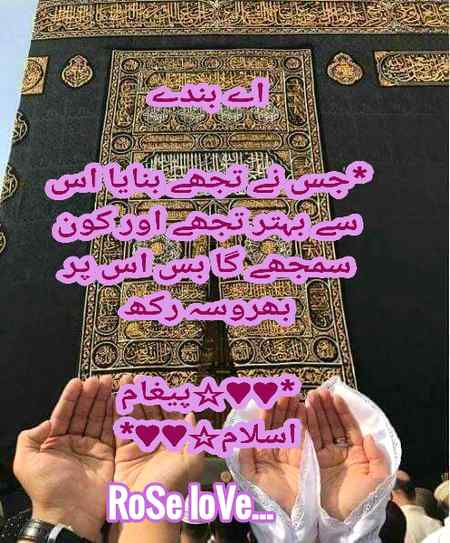 👍👍🌹👍👍RIGHT👍👍🌹👍👍