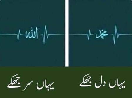 🌹🌹🌹صلی اللہ علی حبیبہ محمد نور من نوراللہ وعلی آلہ واہل بیتہ وعترتہ وازواجہ وصحبہ وجدہ وذریتہ و کل امتہ وبارک وسلم کثیراً کثیرا و دائماً ابدا 🌹🌹🌹