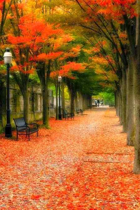 "ہر موڑ پہ مل جاتے _ ہیں ہمدرد  ہزاروں.🍀🌸
محسن تیری بستی میں اداکار بہت ہیں"!