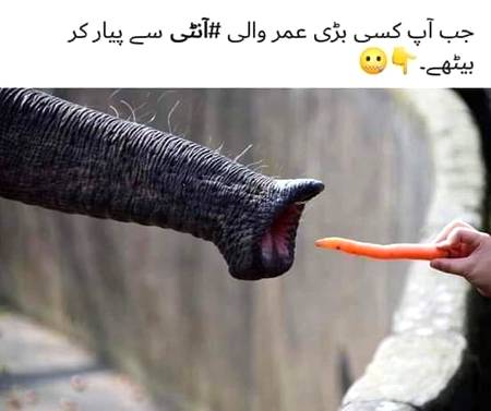 Or karo love