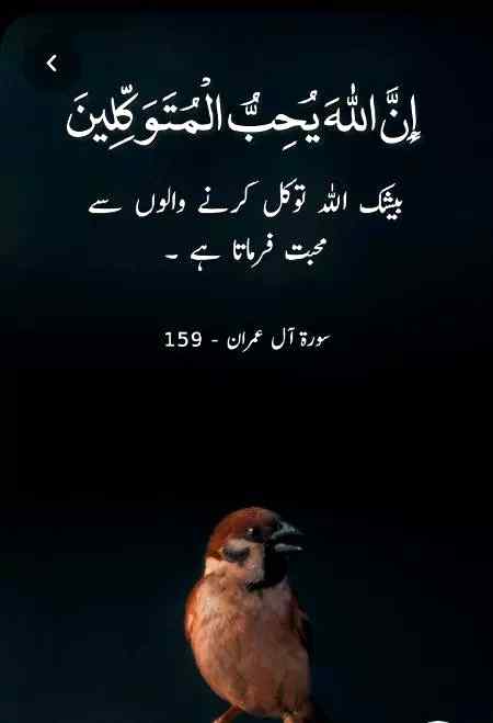 ❤❤❤❤💞💞💞💞