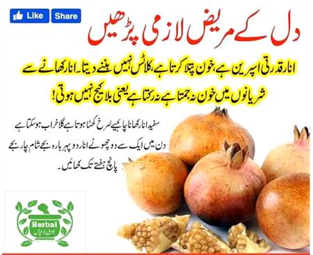 Infoo share plzz