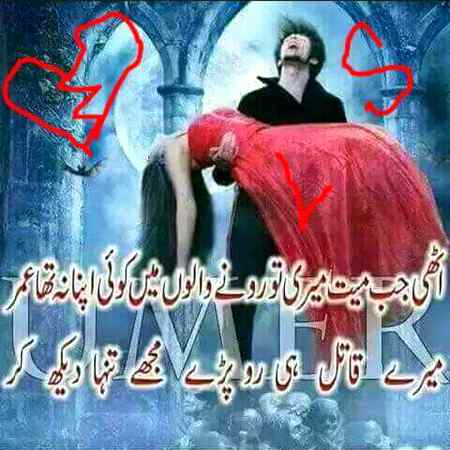 hlo friends